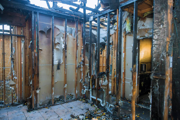 Professional Fire Damage Removal technician working in La Croft, OH
